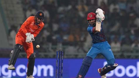 NED vs AFG, World Cup 2023 Highlights: Afghanistan keep semi .